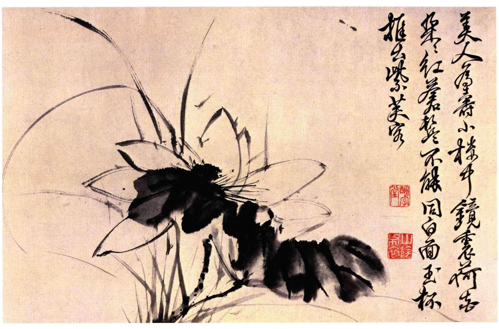 《徐渭书画全集》 绘画卷 花卉图卷.png