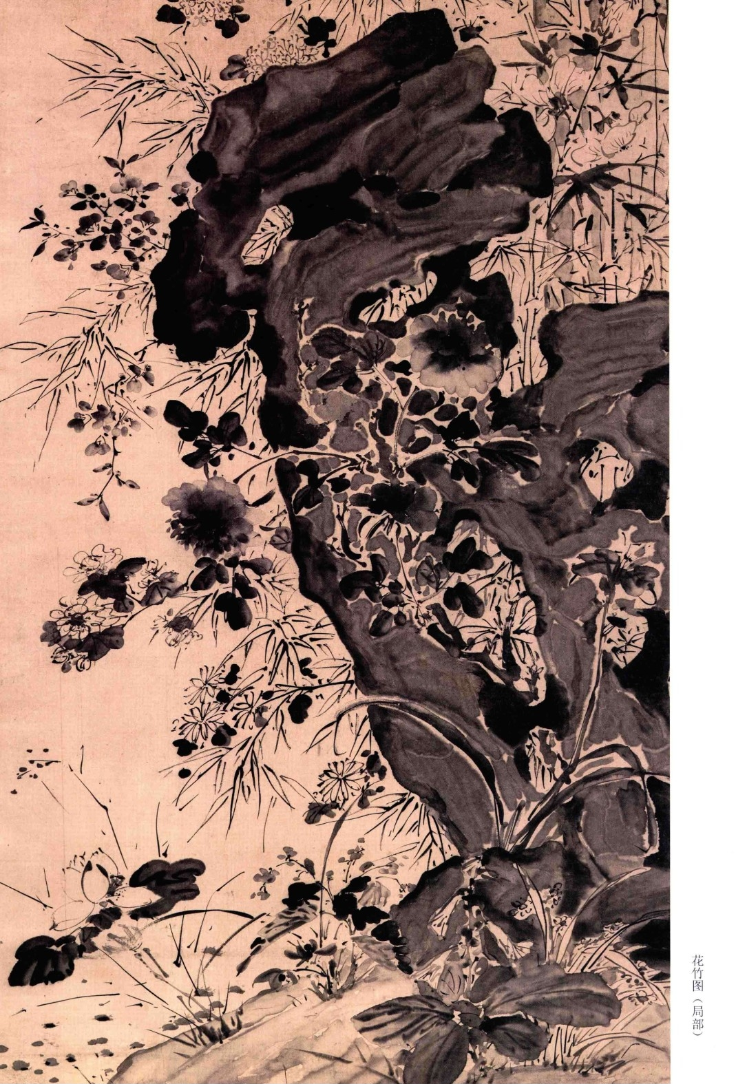 《徐渭书画全集》 绘画卷 榴实图.png