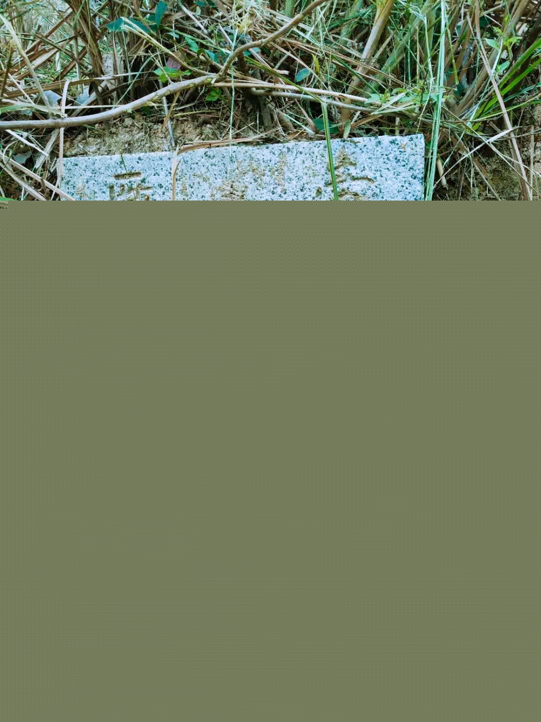 ef04ec38528fecd4_07_b9335d109aaf.jpg