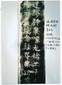 4f49557d176001a5b9fd0765.png