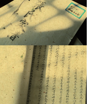 濮阳及周边地区张氏家谱摘要之城关镇东关街《张氏家谱》摘要（族谱资料）.png