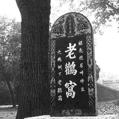 濮阳人真是从山西大槐树下迁来的么？（源流考略）.jpg