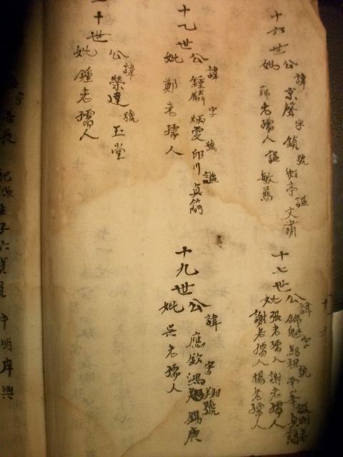 入川祖岐鳯公直系谱（谱牒资料）.jpg