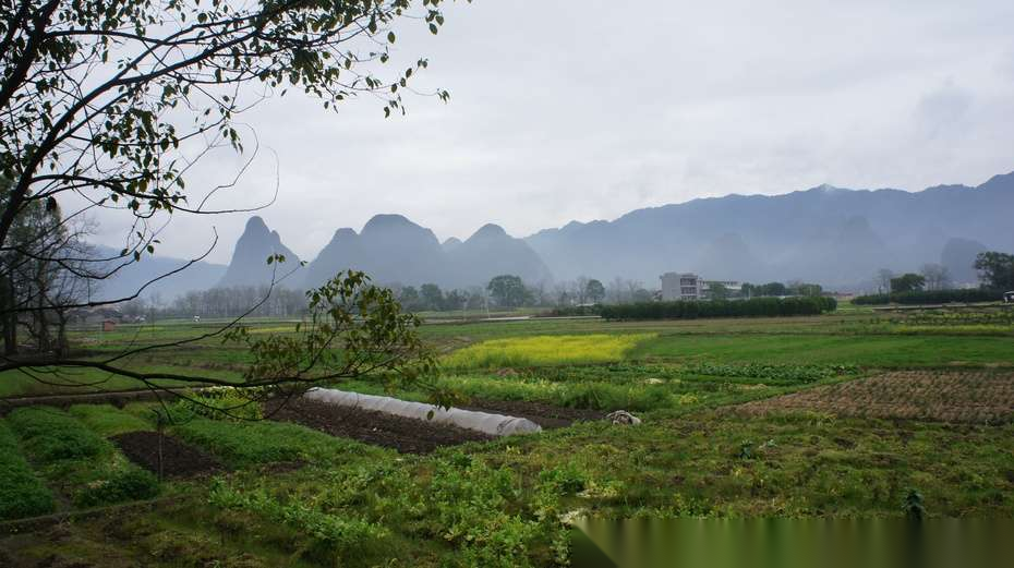 周敦颐后裔村——江头洲村（文化辑录）.png