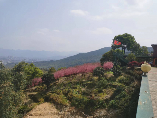 周扬基会长一行考察福建智慧鑫生态农业发展有限公司（周氏企业）.jpg