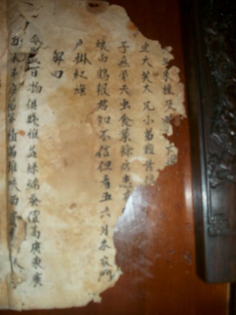 周氏族谱与《枕中纪》影像资料.jpg