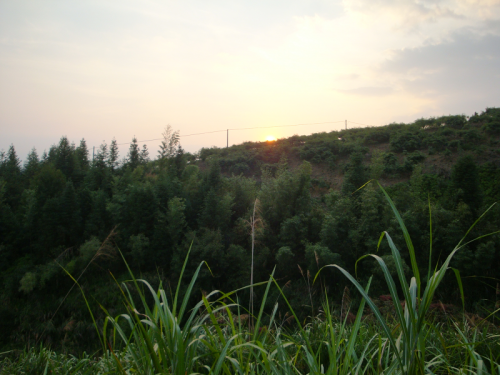 风生水起会有时 ——何宋卿大师香山考察记（文化辑录）.png