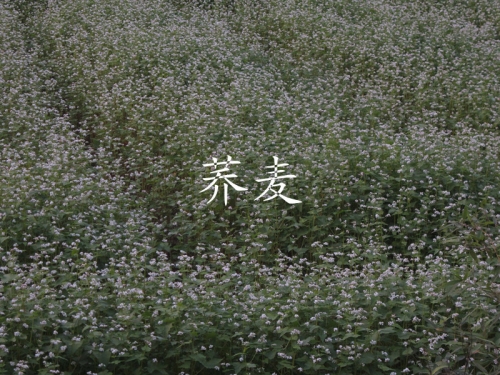 走进山区（文化辑录）.jpg
