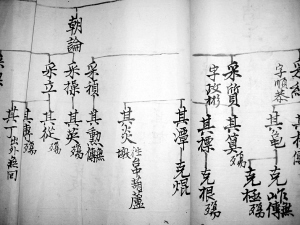 周姓族谱再次见证闽台血缘（谱牒资料）.jpg