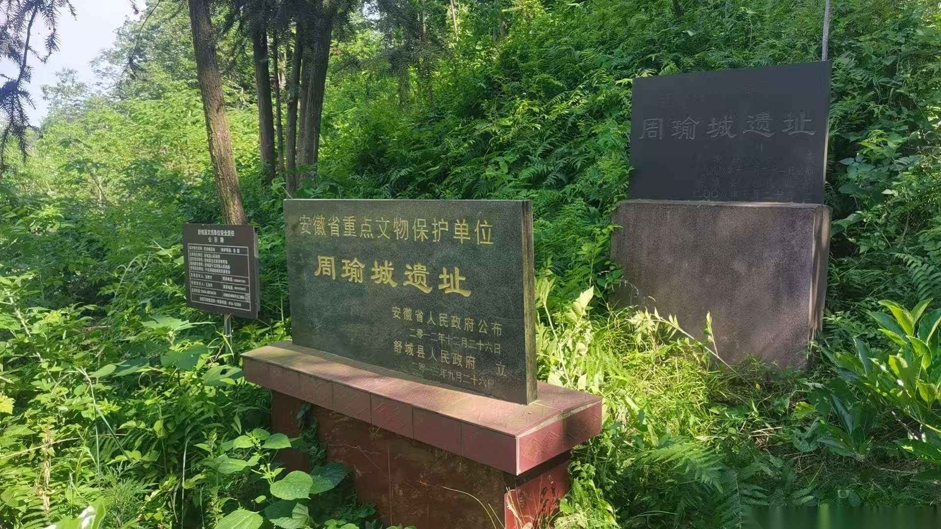 2026年5月16日乌兔周氏后裔舒城寻根溯源（寻根线索）.png