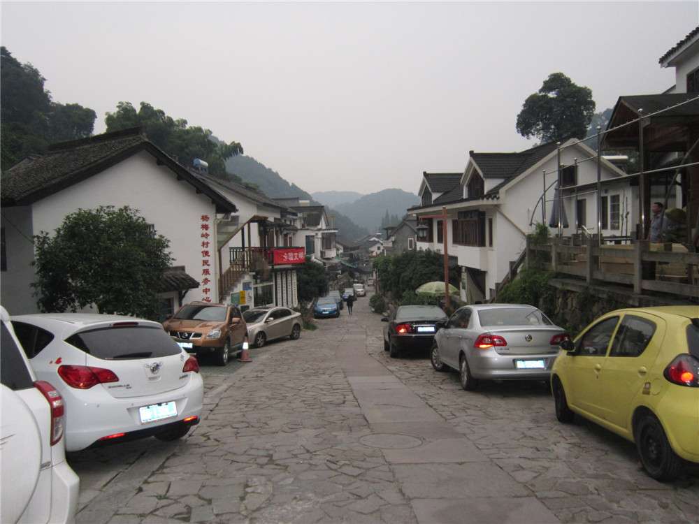 杨梅岭村（文化辑录）.jpg