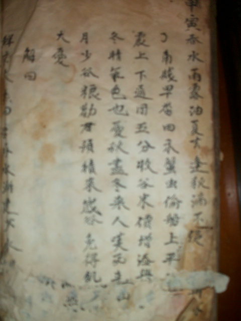 周氏族谱与《枕中纪》影像资料.jpg