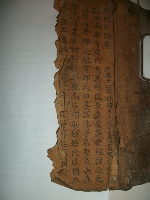 周氏族谱与《枕中纪》影像资料.jpg