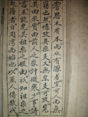 族谱------川西行-2（谱牒资料）.jpg