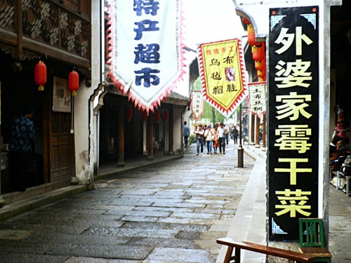 鲁迅小说中的鲁镇（文化辑录）.jpg