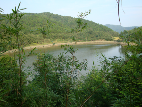 风生水起会有时 ——何宋卿大师香山考察记（文化辑录）.png