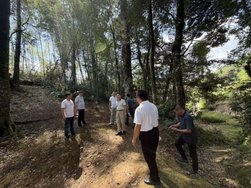 福建省周会一行到永泰县走访调研（文化辑录）.jpg