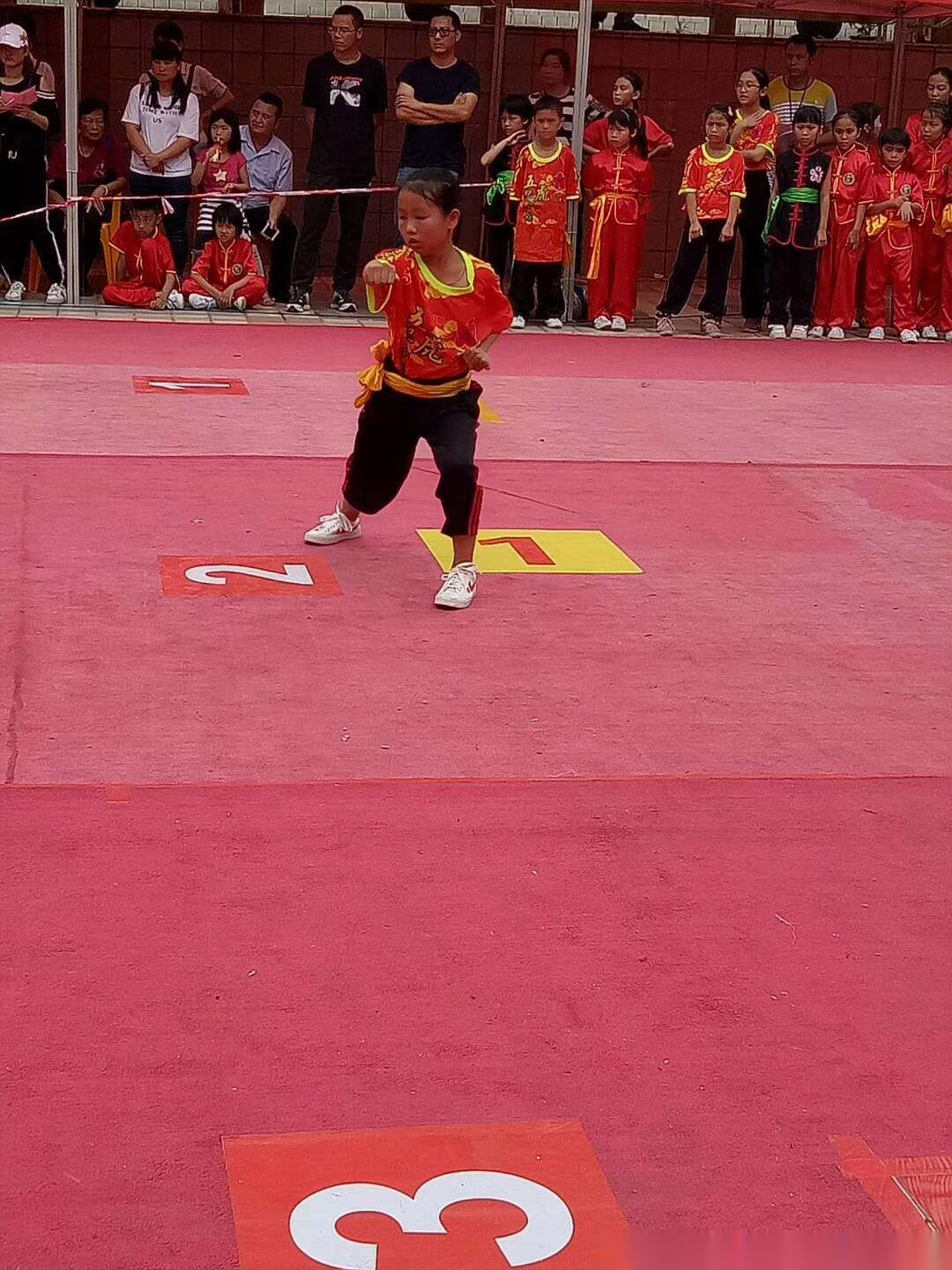 2018年江门举行武术比赛（文化辑录）.png