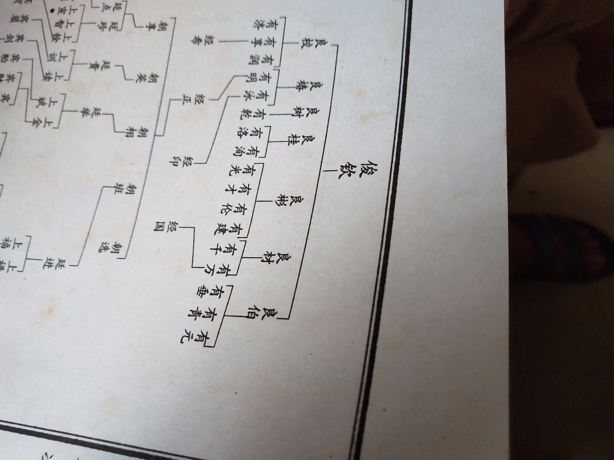 寻根资料：朱氏家族寻亲（寻根资料）.jpg