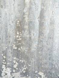 寻根问祖的宗亲快进来看看（寻根资料）.jpg