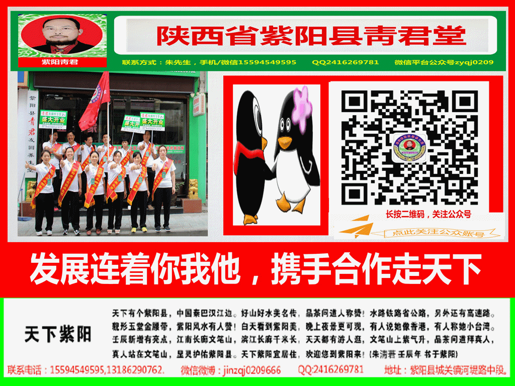 记陕西紫阳县朱氏青君堂丙申年清明节立碑祭祖仪式在长白举行（朱清莙愚书）（祭祖纪事）.png
