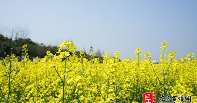 zuo_04edd616e530df64310728.jpg