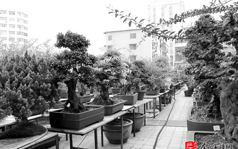 zuo_0863f7657939e1cdd9aa1d.jpg