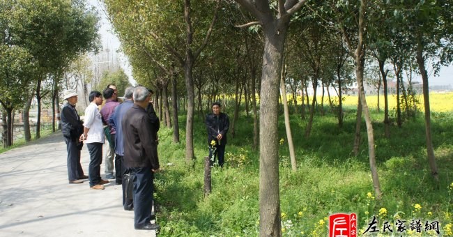 zuo_12104a4dc9212eb59fe134.jpg