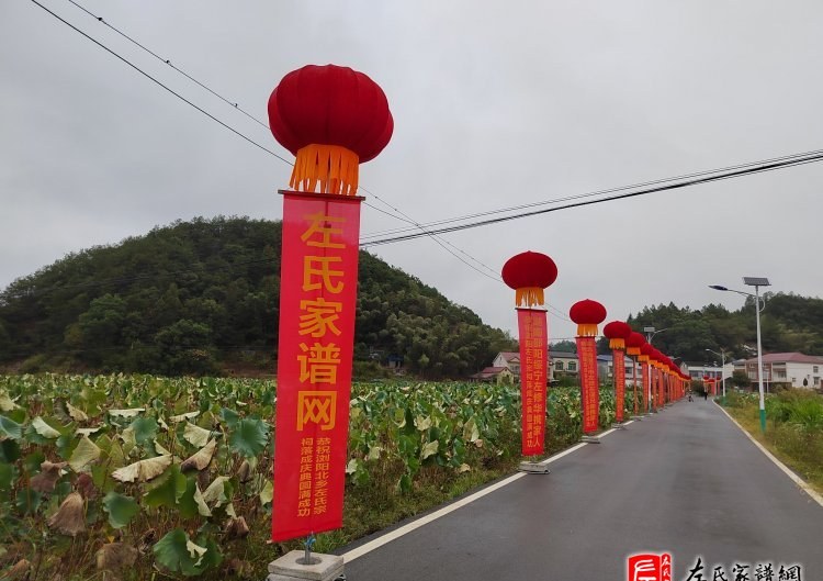 zuo_2647acb1829f43971e2709.jpg