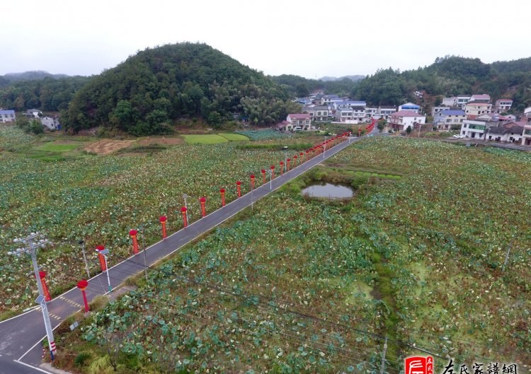 zuo_2eb02cad72c6e587dbcd18.jpg