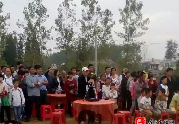 zuo_312b640d79a8bdcd181db6.jpg