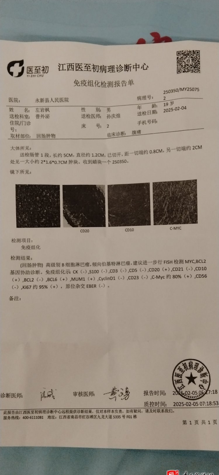 zuo_349673bf5aa3b7b3cfb009.jpg