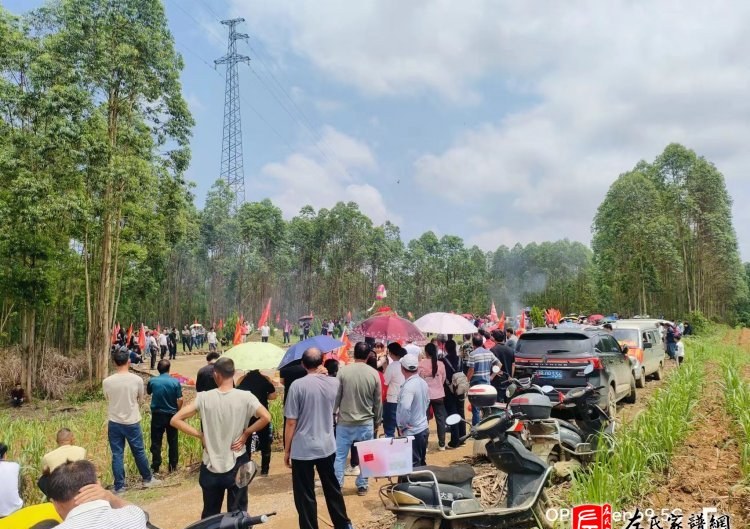 zuo_3890fd990eeecd3d1779c7.jpg