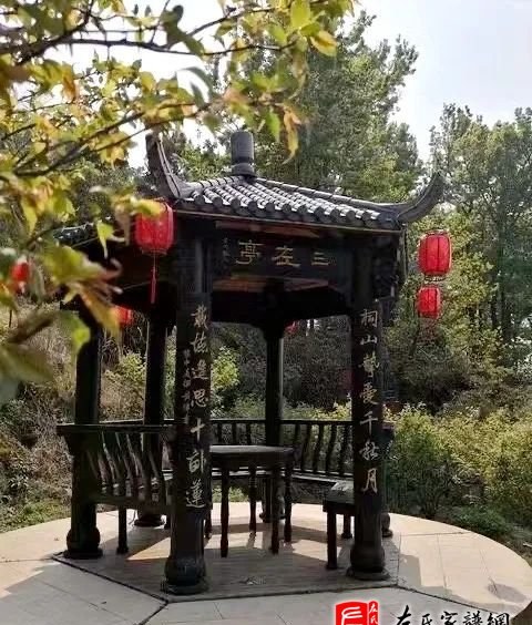 zuo_46d09e517b8ad1392fb5b8.jpg