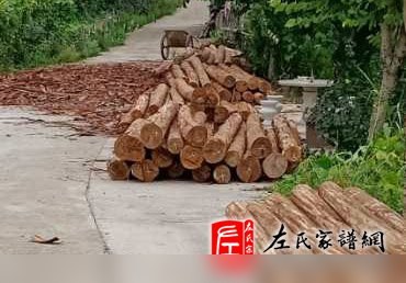 zuo_4f364b0a0d1845fa7f38b4.jpg