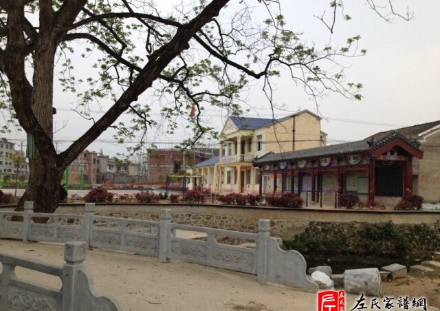 zuo_508288251d71e2f39447a4.jpg
