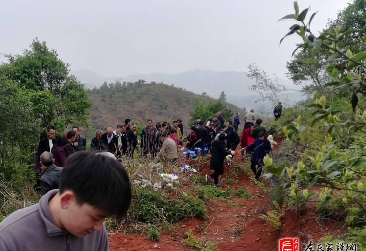 zuo_512107fd9344f4ffdb31ee.jpg