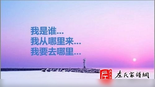 zuo_531bb85dc85cbd47a253d4.jpg