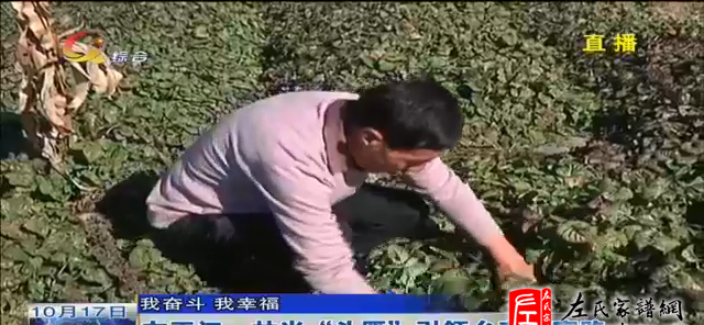 zuo_5a1394001d03926985c350.png