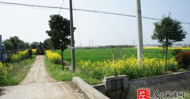 zuo_5a34f6e2c6860d16c0cdca.jpg