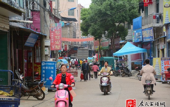 zuo_631571583ae71167b33e90.jpg