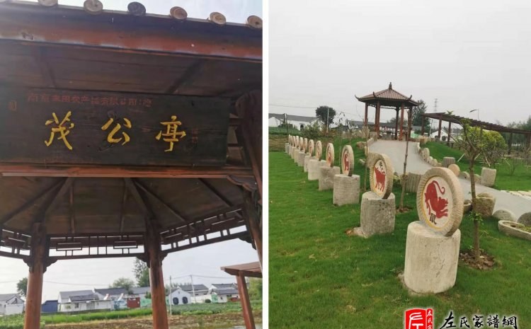 zuo_69bcda1b811e9d853ae5e3.jpg