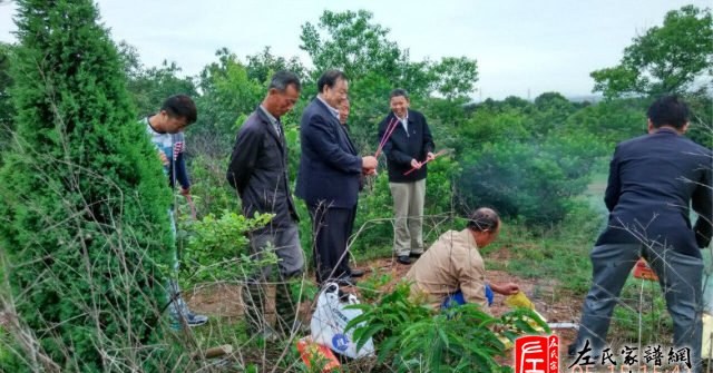 zuo_78c885e91814d26f69be36.jpg