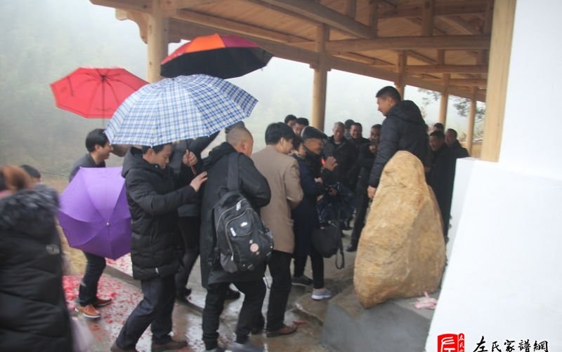 zuo_810b084ccffa7496ed275b.jpg