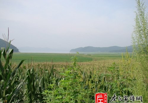 zuo_81527e263e1b33bcce56a4.jpg