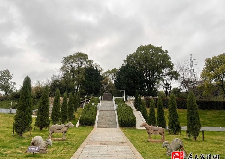 zuo_8b78f03203ae3b2ab7419b.jpg