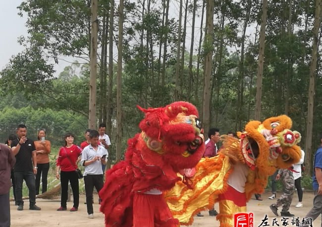 zuo_9576bd134fbb1d193998b3.jpg