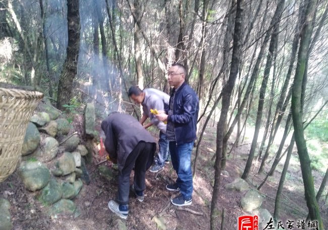 zuo_aa548be858e2a5cd88a2bf.jpg