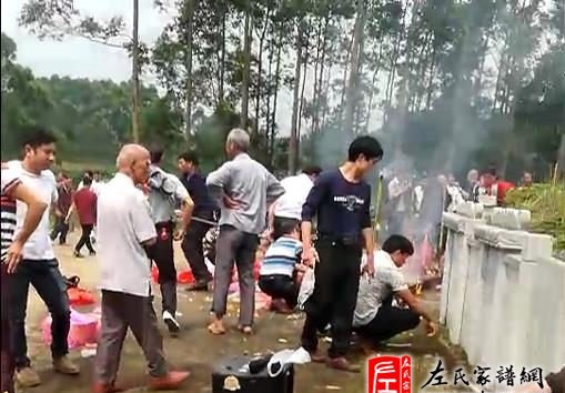 zuo_ad6752cae851d596b929de.jpg