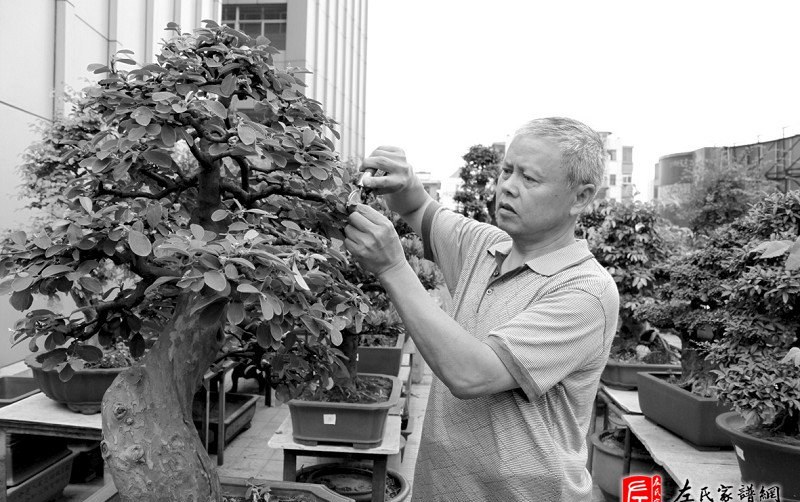 zuo_ba4feb0754ebaa1a5d0706.jpg